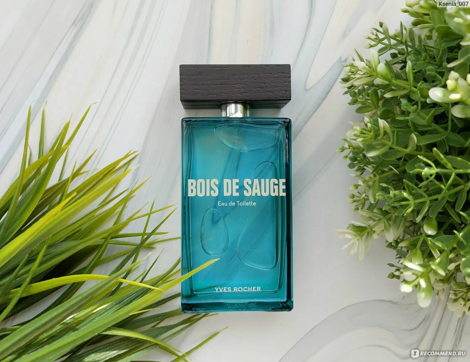 Туалетная вода bois de sauge, 100 мл. Туалетная вода bois de sauge Ив Роше. Yves Rocher духи мужские bois de sauge. Туалетная вода bois de sauge, 50 мл.