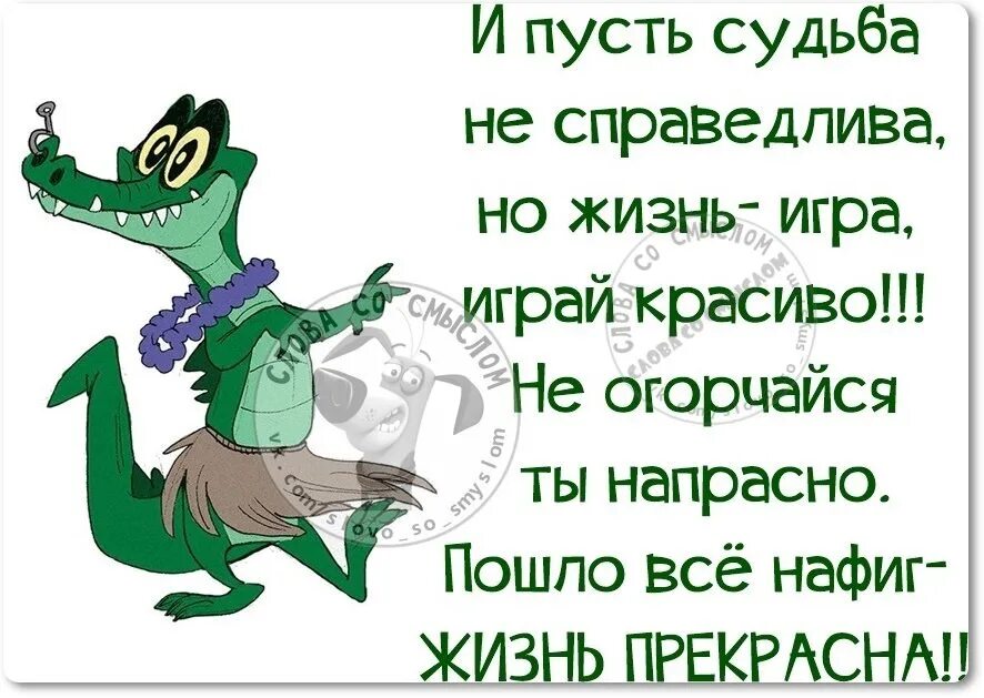 Анекдот про крокодила. Пьяный черный кот. Ну и напрасно. Ну и напрасно. Живу не зря.