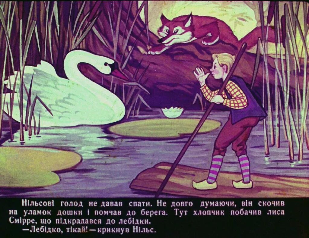 Аудиокнига путешествие нильса с дикими. Путешествие Нильса с дикими гусями иллюстрации. Раскраска к сказке чудесное путешествие Нильса с дикими гусями.