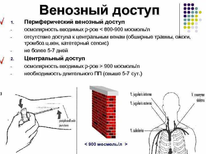 Периферическая вена где. Центральные и периферические вены.