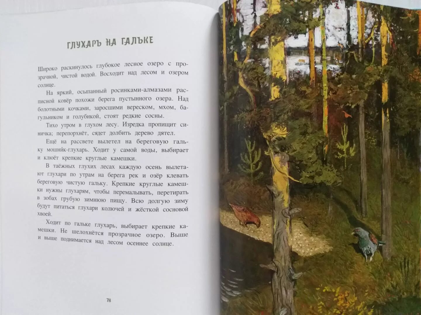 Рассказы это было в лесу. Рассказы это было в лесу