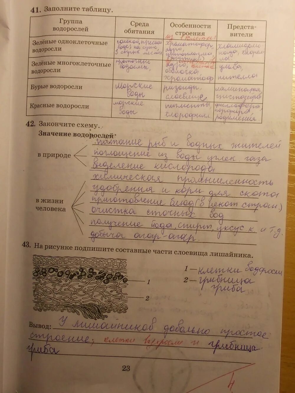 Биология 5 класс рабочая тетрадь стр 76. Биология рабочая тетрадь 6. Гдз по биологии рабочая тетрадь. Гдз биология 6 класс Пасечник. Биология 6 класс рабочая тетрадь Пасечник.