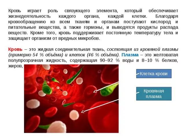 Орган отвечающий за очистку крови. Питательные вещества принесенные кровью. Перенос крови кислорода и питательных веществ. Благодаря чему частицы питательных веществ разносятся по всему телу. Питательные вещества в крови.