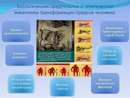 Генетические предки