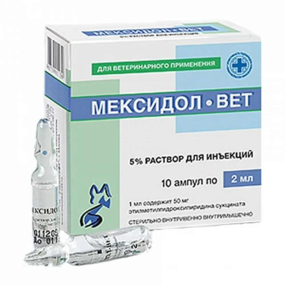 Мексидол раствор для инъекций 5. Мексидол 5 мл 10 ампул. Мексидол вет 5%. Мексидол раствор 5 мл. Мексидол уколы 10 мл 10 ампул.