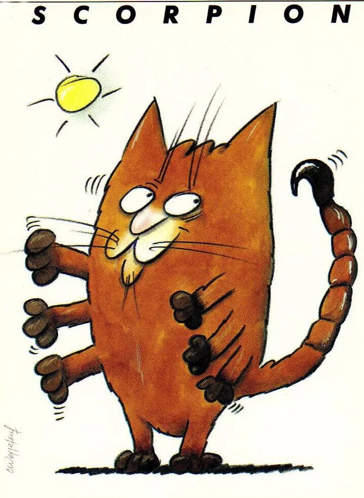 Кот скорпион. Коты знак зодиака скорпион. котик зодиак скорпион. с днем рождения скорпиончик.