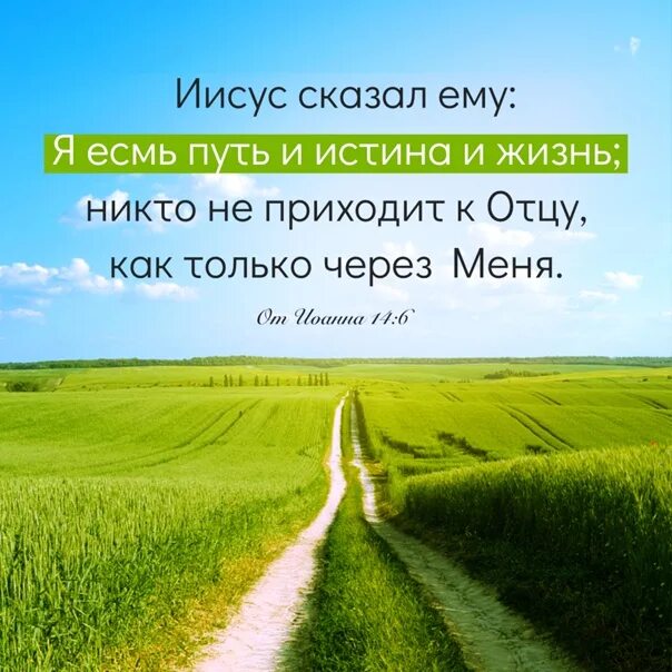 Я есмь истина и жизнь. Иисус сказал ему: я есмь путь и истина и жизнь. Я есть путь истина и жизнь. Путь, истина и жизнь. Я есмь путь.