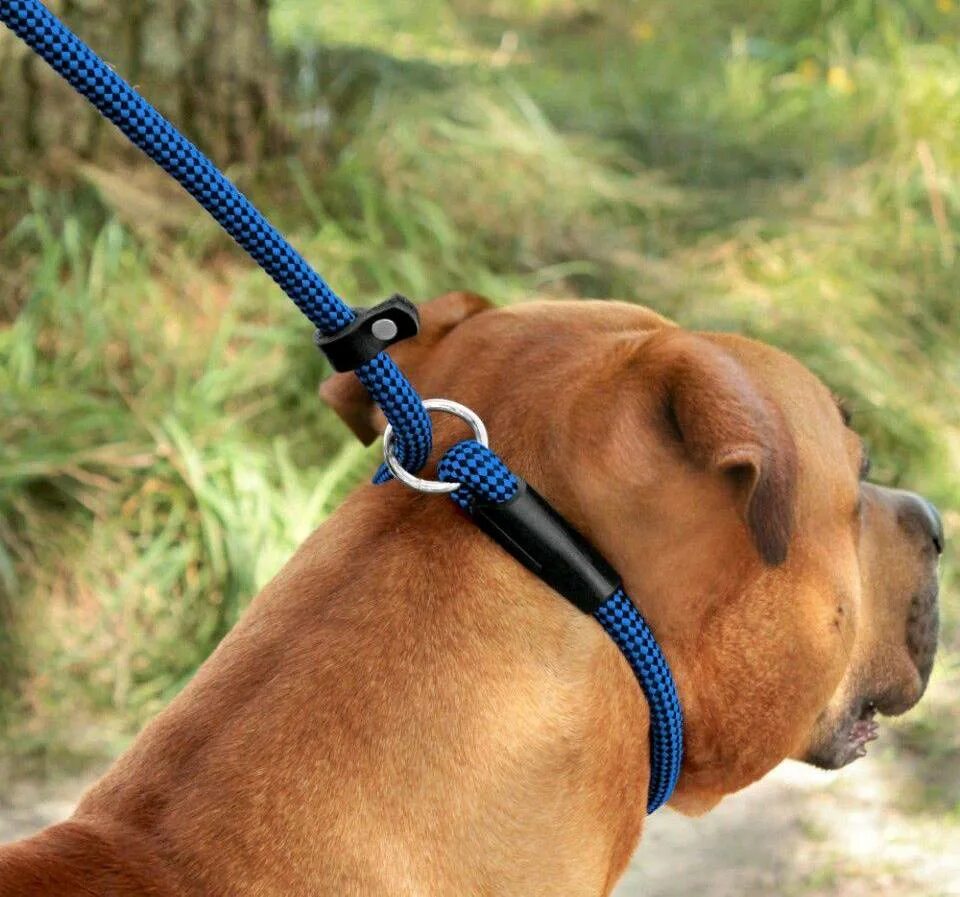 Ошейник-удавка triol shc2560, 60 см 60 см. Ошейник-удавка ferplast daytona (css25/65), 65 см. Ошейник-удавка ferplast derby (cs10/50), 50 см. Ошейник-удавка trixie 2243, 45 см 45 см. Удавка для собак.