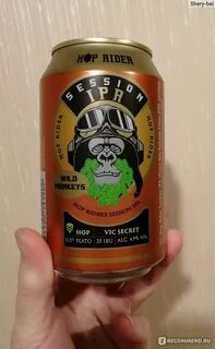 Raider отзывы