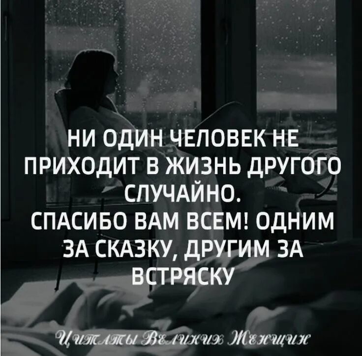 Спасибо всем одним за сказку другим за встряску. Люди приходят в нашу жизнь. Цитаты люди приходят в нашу жизнь. Одни люди для опыта другие. Мы приходим в эту жизнь одни