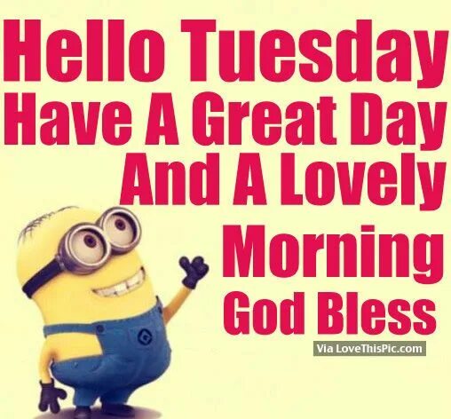 Tuesday doing what on are you. Hello tuesday. tuesday quotes. happy tuesday. quote hello tuesday.