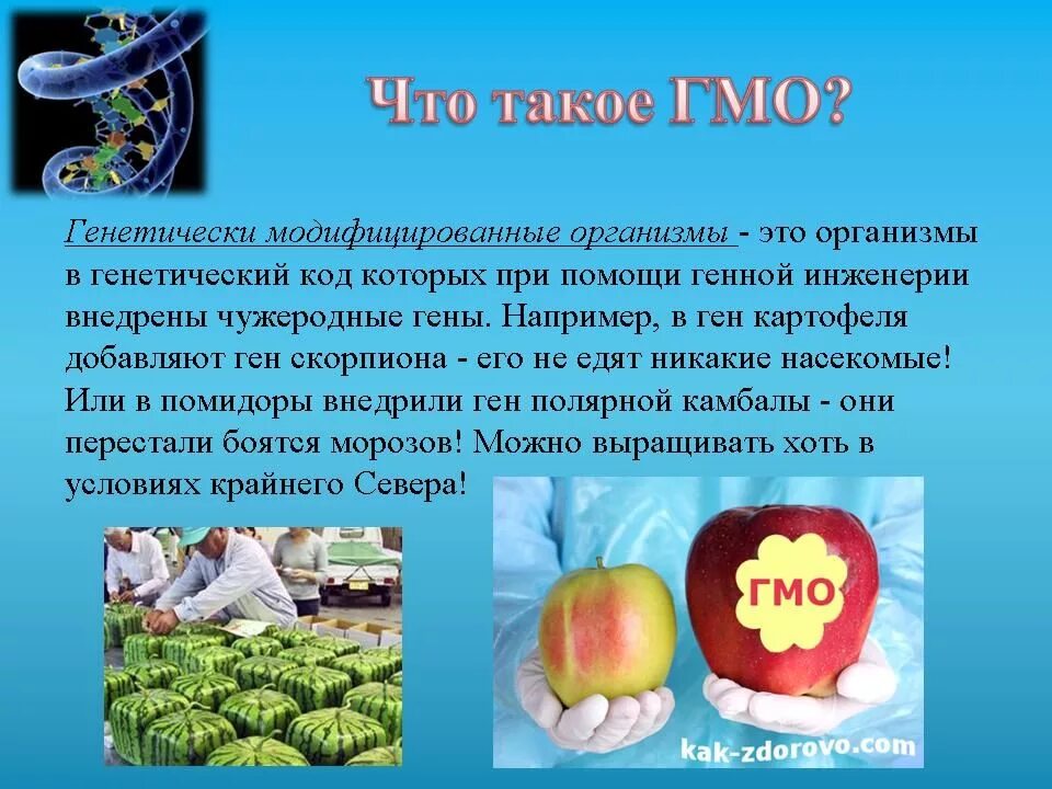 Гмо сообщение