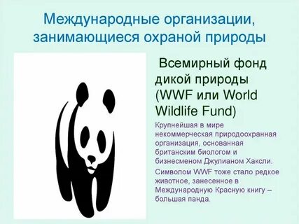 Какие международные организации есть по охране природы