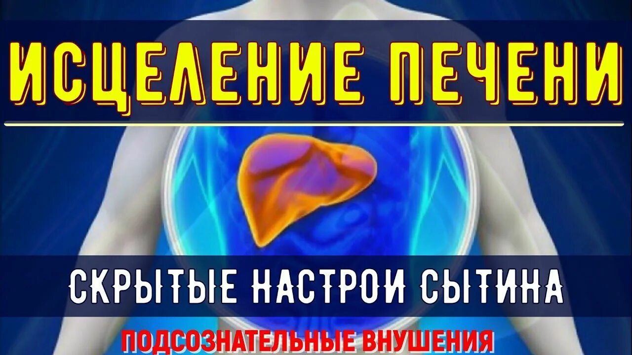 Настрой сытина на оздоровление печени. Сытин печень. Сытин печень. Приколы про печень и алкоголь. Квантовое исцеление печени.
