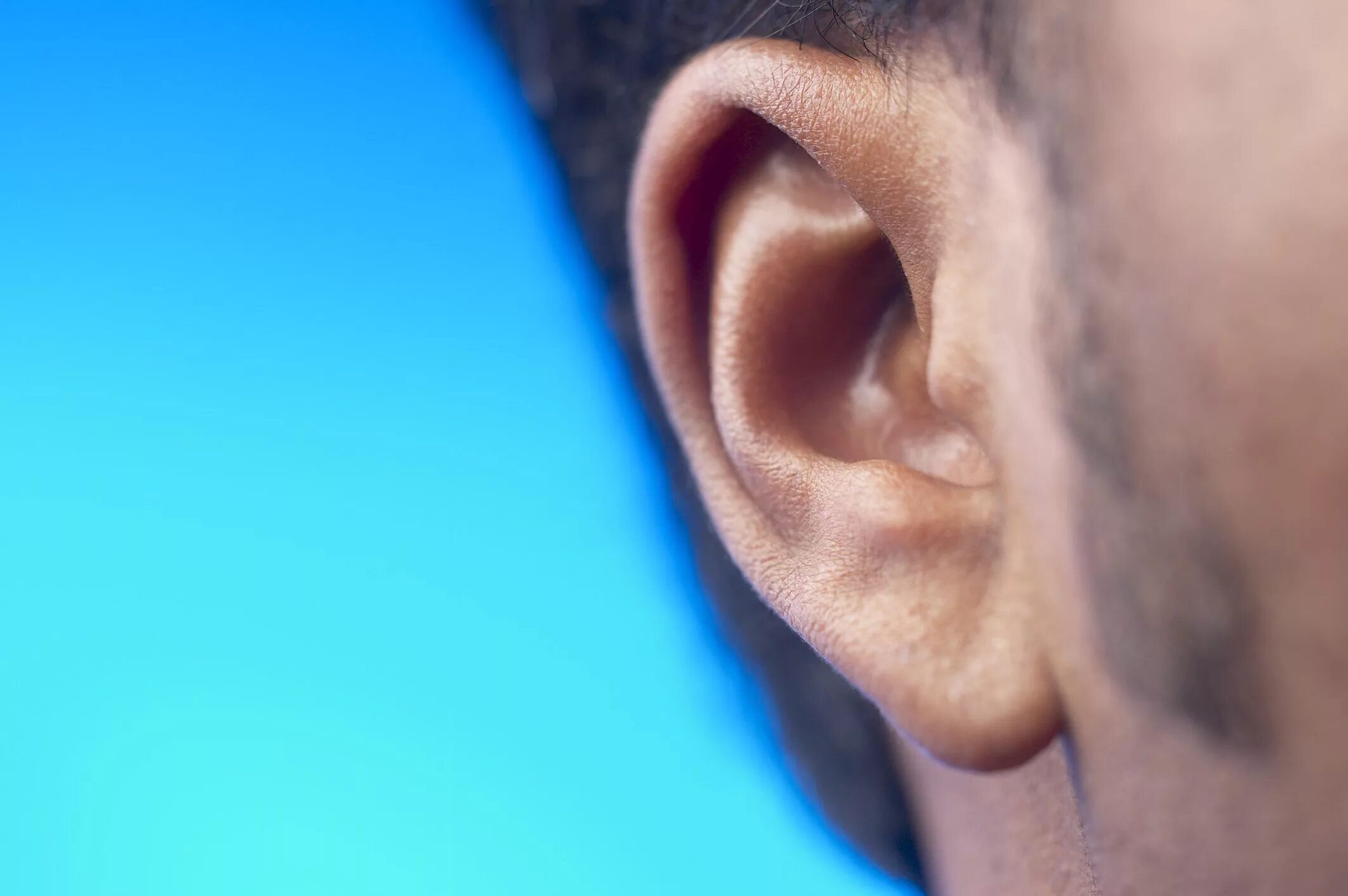 Coselgi слуховой аппарат. Орган слуха наружное ухо среднее ухо внутреннее ухо. Строение уха и вестибулярного аппарата. Строение внутреннего уха. Покажи как выглядит ухо.