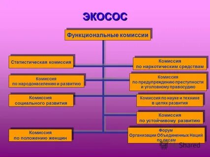 Экосос