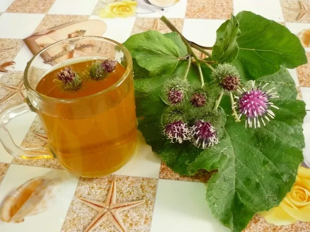 Как сделать настойку из листьев
