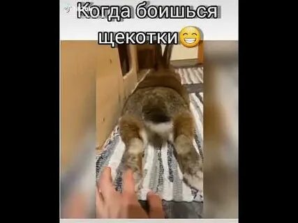 Женщины боятся щекотки