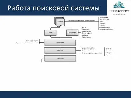 Система поиска организаций