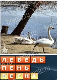 Ответа собираем слова