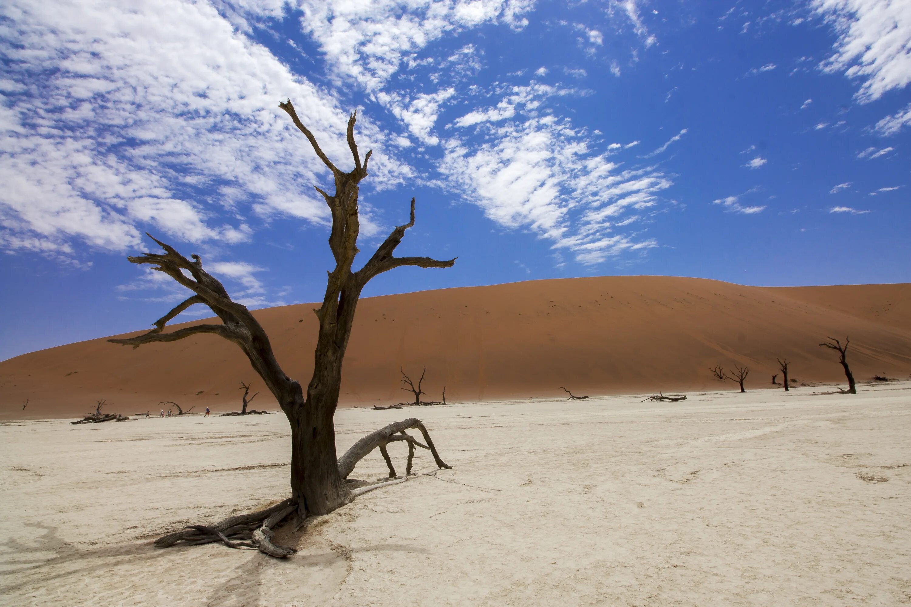 Засушливые области австралии. Плато Соссусфлей, Намибия. Deadvlei Намибия. Намибия Саванна. Мертвая Долина в пустыне Намибии.