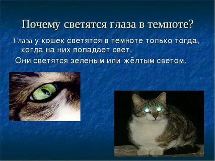 Каким цветом светятся глаза