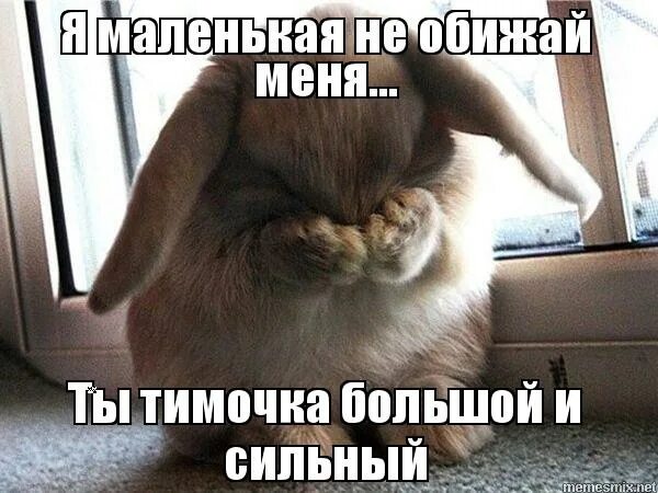 я тоже мем. я тоже хотел поскорее. котик хочу обнять. что мне снег что мне. я тоже так хочу.