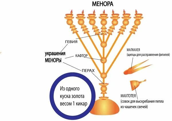 Семисвечник менора иудейская скинии. Минора в христианстве. Что такое менора у евреев. Иудейский семисвечник менора. Семисвечник менора иудейская скинии.