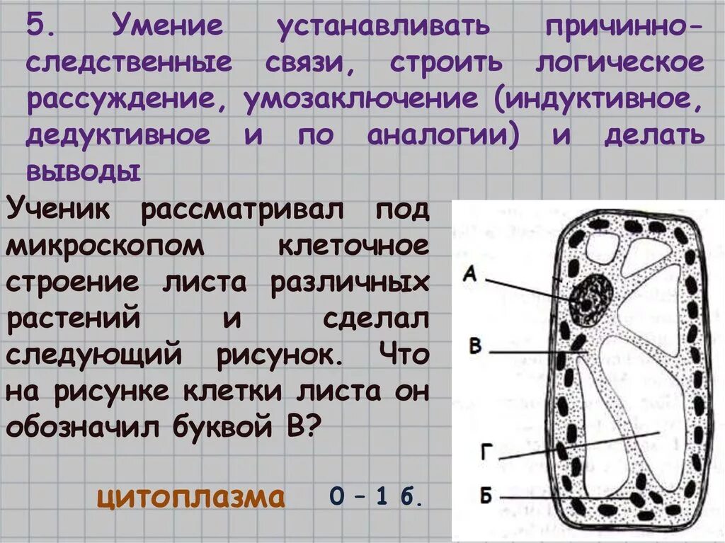 ВПР с ответами по биологии за 5 класс Котикова (20 вариантов) - Вариант 3