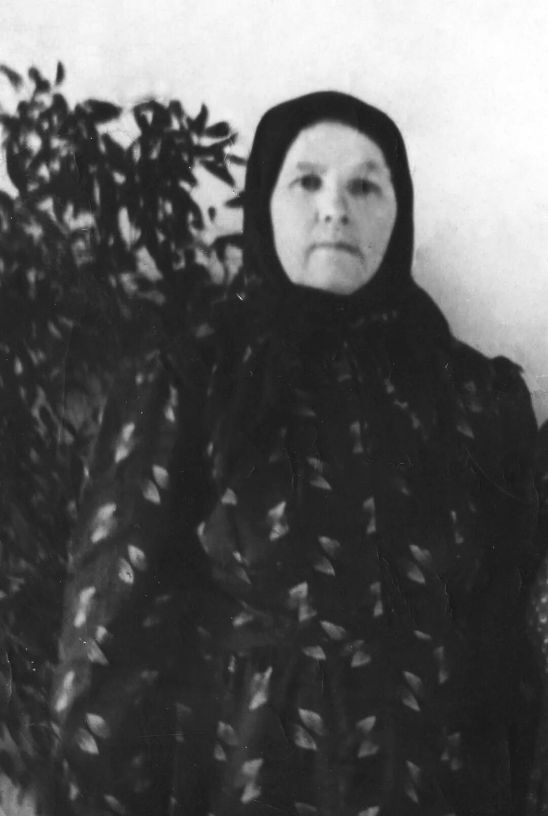 бабки из одноклассников. алла ильинична лёвушкина в молодости. малых анна федоровна. прожила 92 года. хелен томас.