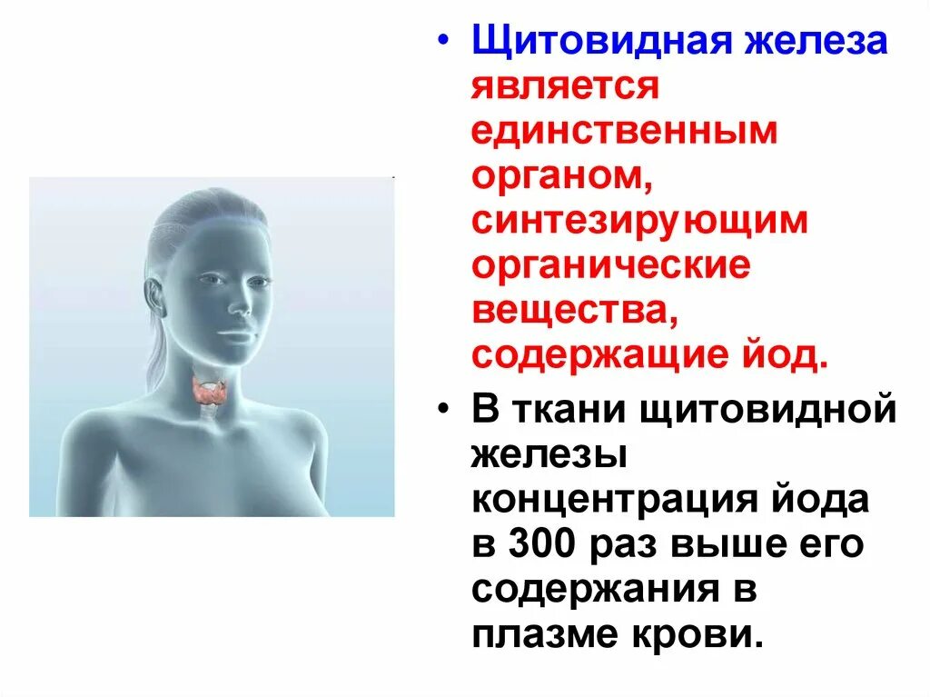 Секретом желез является. Физиология щитовидной железы презентация. щитовидная и вилочковая железа. щитовидная железа эндокринология презентация.
