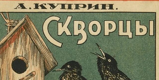 Иллюстрация к рассказу скворцы Куприн. Куприн скворцы книга. Куприн скворцы читать полностью