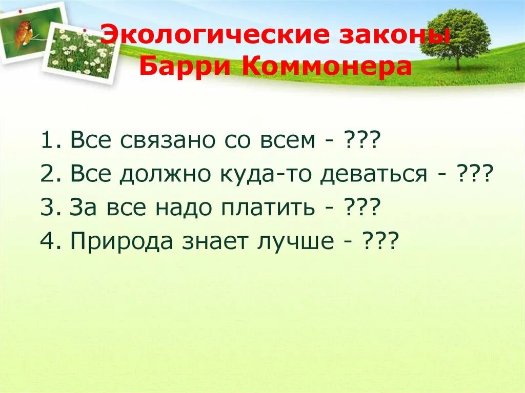 Примеры экологических законов. Экологические законы. Экологические законы экология. Экологические законы презентация. Общие законы экологии.