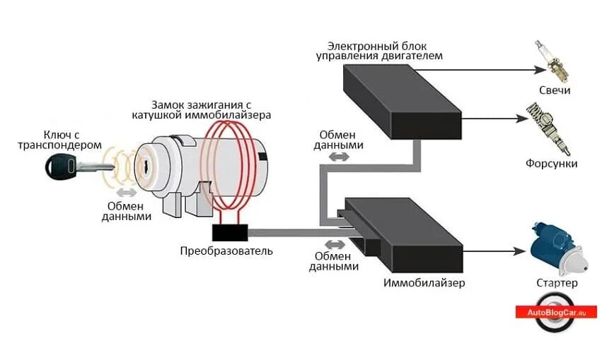 Схема подключения иммобилайзера Приора. Схема подключения штатного иммобилайзера. Установить иммобилайзер