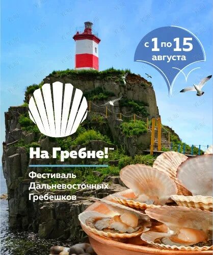 День города владивосток. Фестиваль гребешка владивосток 2024. Фестиваль гребешка владивосток. Гастрономический фестиваль. Фестиваль на гребне.