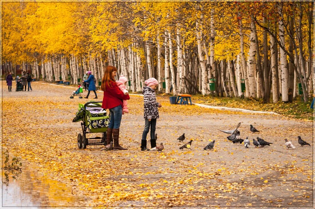 Жизнь человека осенью. Прогулка в парке. Осенняя прогулка. Прогулка в парке с детьми. Прогулка осенью.