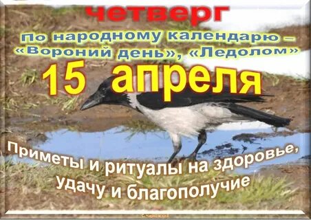 За какой день мы работаем 2 ноябрянин