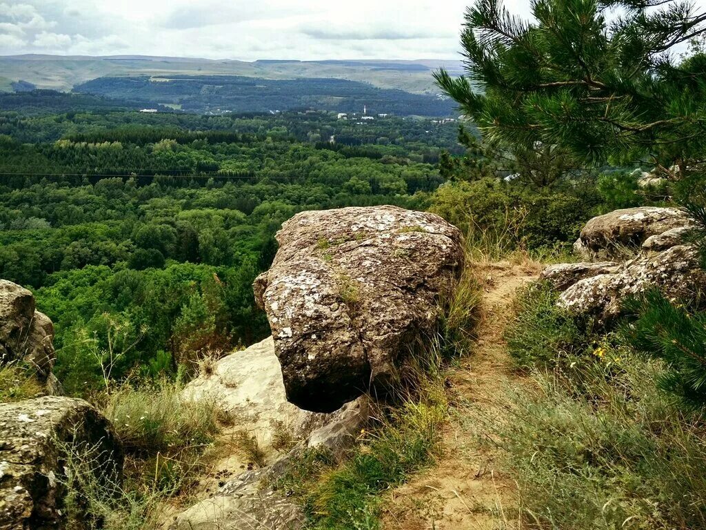 терренкуры парка кисловодска. железноводск парк терренкур. железноводск парк терренкур. алма ата терренкур. курортный парк кисловодск терренкуры.