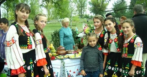 Синьковка харьковская область последние новости