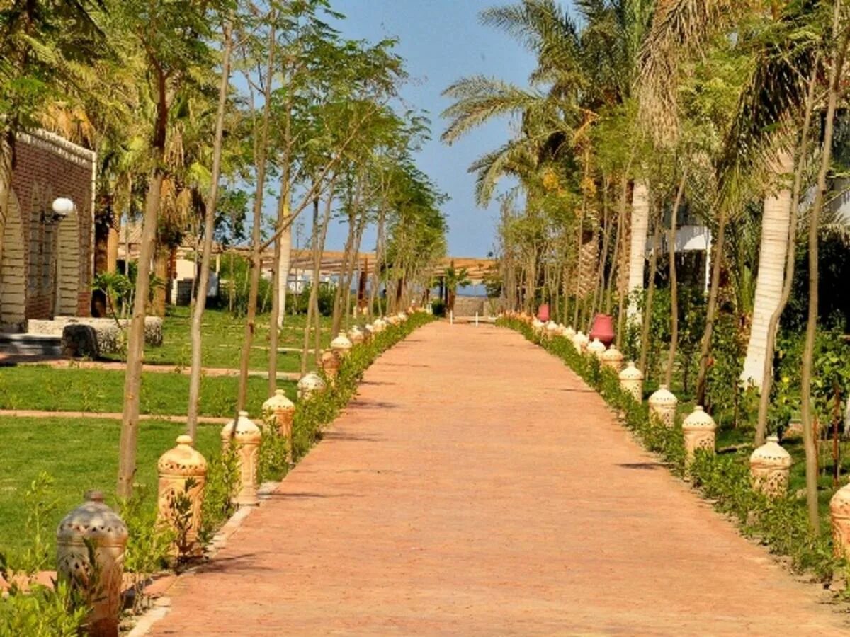 Aladdin resort hurghada 4. Отель Aladdin Beach Resort Hurghada. Алладин Бич Резорт отель Хургада 4. Египет Хургада алладин Бич. Алладин Египет Хургада.
