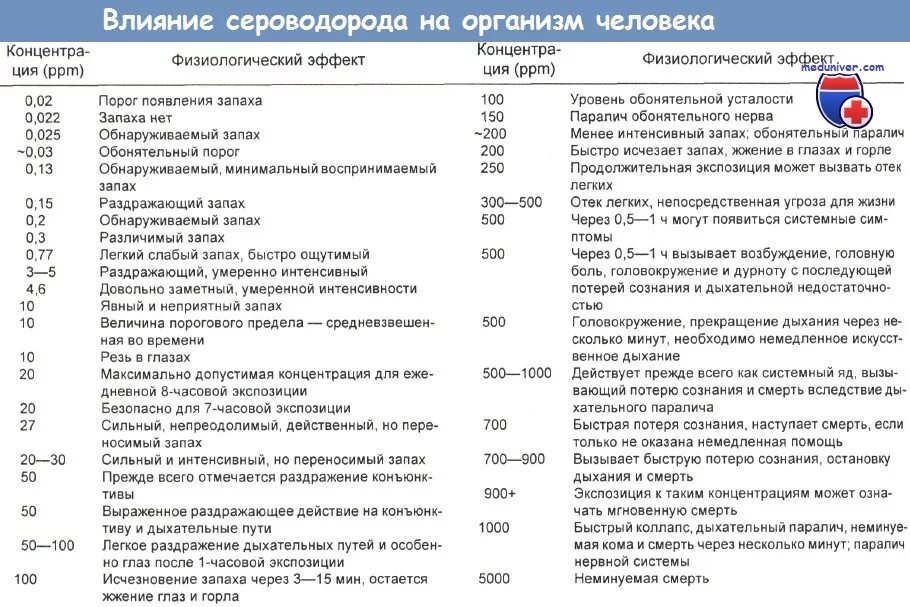 Вред сероводорода. Сероводород влияние на организм человека. Сероводород воздействие на организм человека. Влияние сероводорода на человека. Влияние концентраций сероводорода на человека.