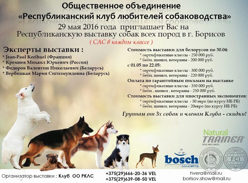 Переславль залесский выставка собак. Объявление о выставке собак. презентация выставки собак. категории выставок собак возрастные. реклама клуба собаководства.