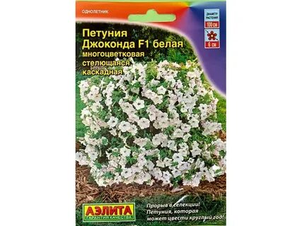 Петуния джоконда белая