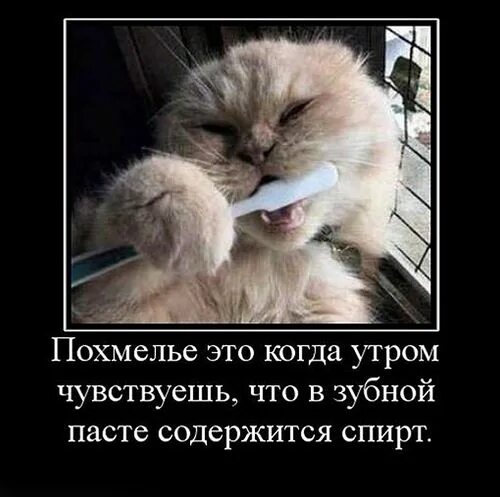 Утро после 23. С добрым утром с похмелья прикольные. Похмелье демотиваторы. Открытки после пьянки похмелье прикольные. Открытки с похмелья прикольные.