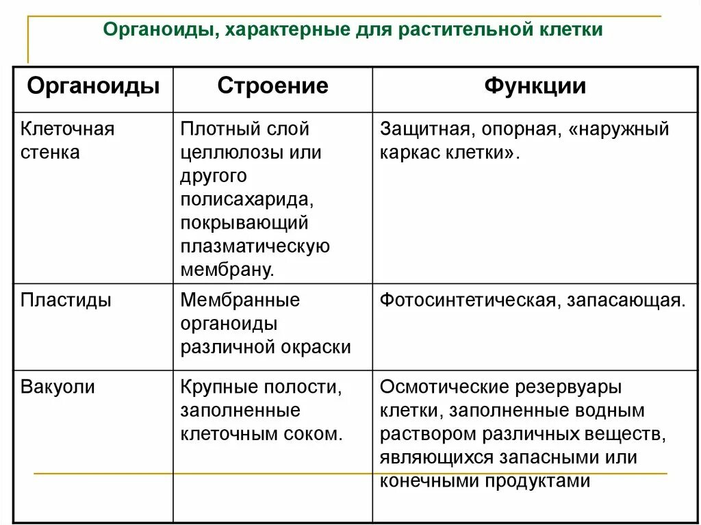 Органоиды клетки таблица 10 класс пластиды. Органоиды клетки строение и функции таблица. Растительная клетка строение и функции органоидов. Таблица название органоида строение функции пластиды. Функции цитоплазмы органоида клетки