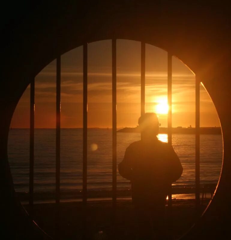 женщина в тюремной камере. дверь женской тюрьмы. Through the bars. Through the bars. животные в тюрьме.