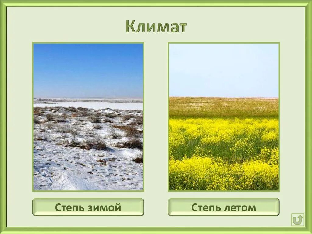Тепловой режим степи. Зона степей климат. Климат степи зима лето. Климат Степной зоны России. Степь зимой и летом.