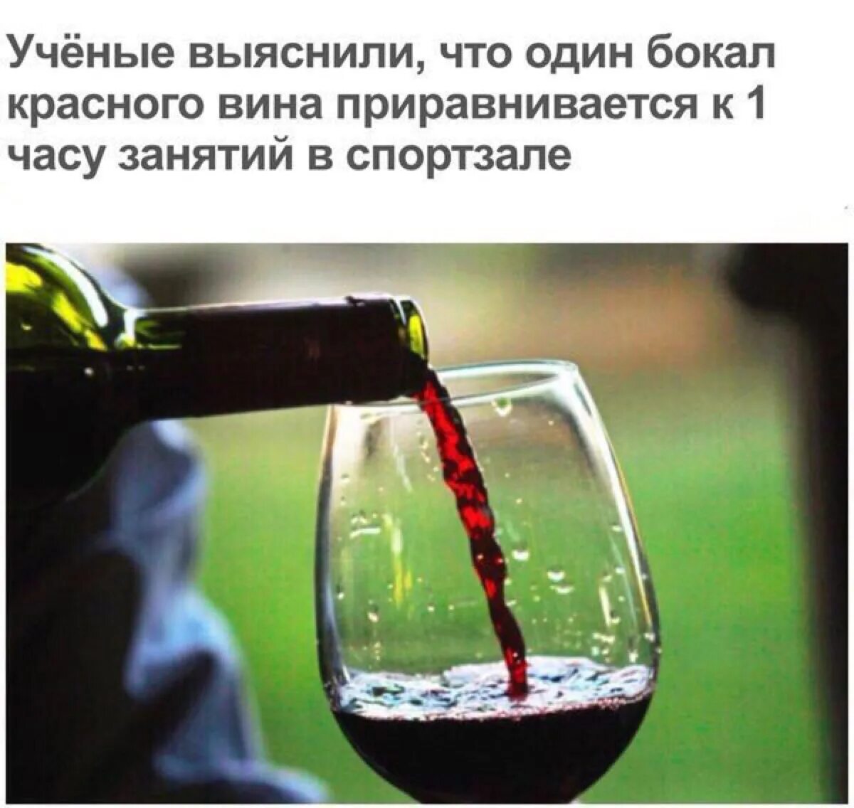 На вине себе поклялась. Приколы про вино. Цитаты про алкоголь смешные. Высказывания про вино смешное. Высказывания с бокалом вина.