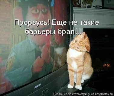 Хотели прорваться
