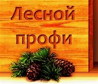 Опт профи киров